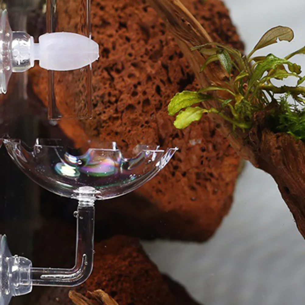 

Acrylic Shrimp Feeder Tube Tray Feeding Bowl Holder Easy Clean Crystal Shrimp Feeder for Aquarium Planted Tank
