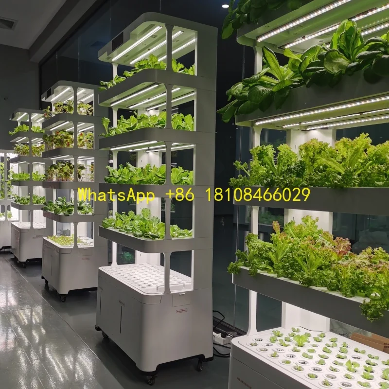 

Smart Planter for Home Use Intelligent Hydroponics Hydroponic System with Spray Vegetables Planting Machine Hydroponics
