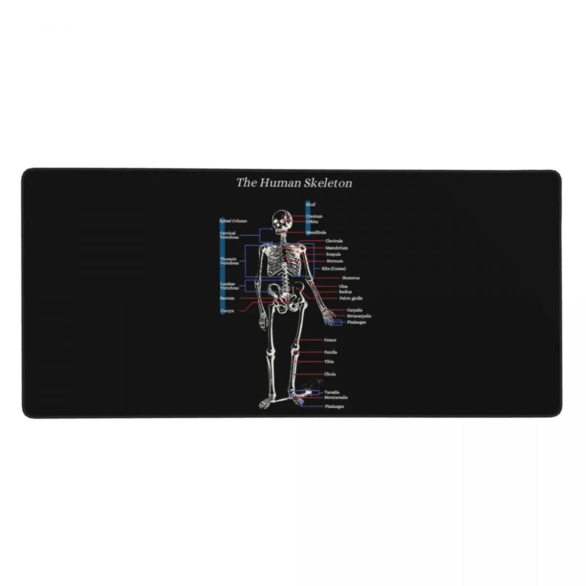 Anatomical Skeleton Art Large Mouse Pad Computer Keyboard Mouse Mat Gaming PC Laptop Desk Mat Office Accessories Table Mats