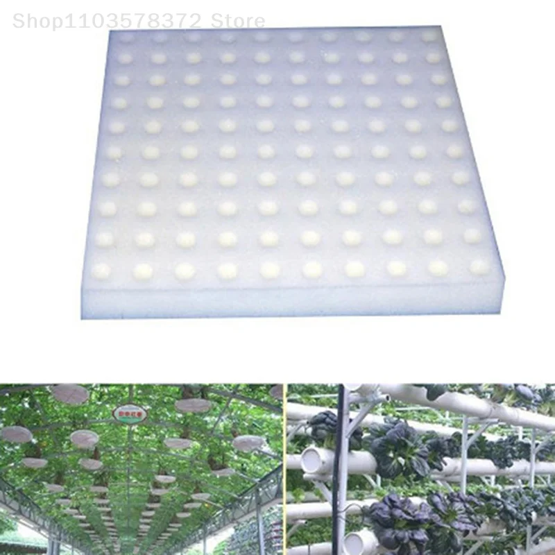 

100 Pcs Soilless Hydroponic Vegetables Nursery Pots Nursery Sponge Culture