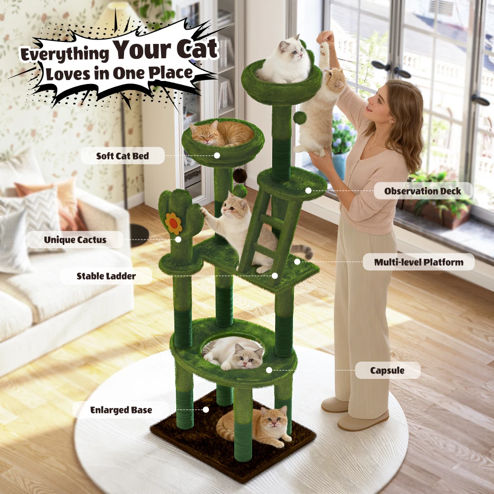 برج قطط على شكل صبار بارتفاع 7 - مراجعة Cat Toys وسعره