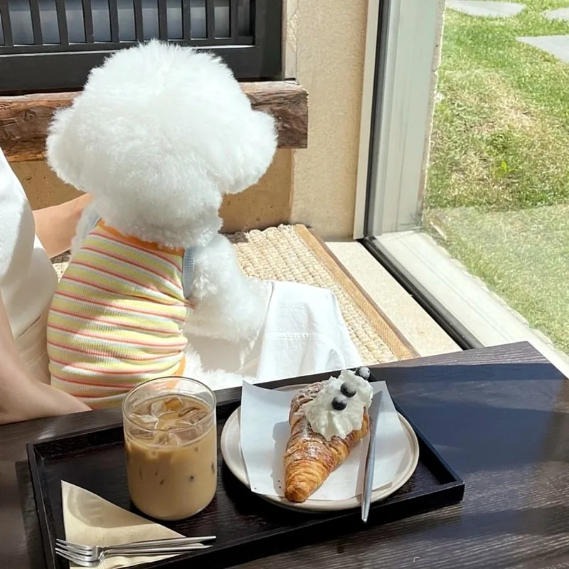 Teddy Striped Small Vest Summer Thin Pet Suspenders Bichon Short T-shirt Small and Medium-sized Dog Casual Clothes - Image 3