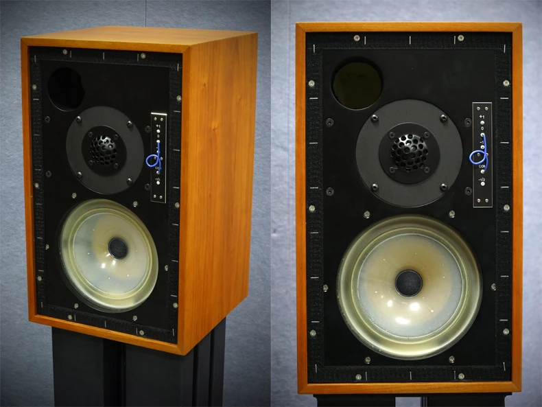 BestVox Bookshelf Speaker, Woofer Birch Plywood Box, LS5, 9, BBC, febre clássica, HiFi Monitor, LS59, polipropileno, 8"