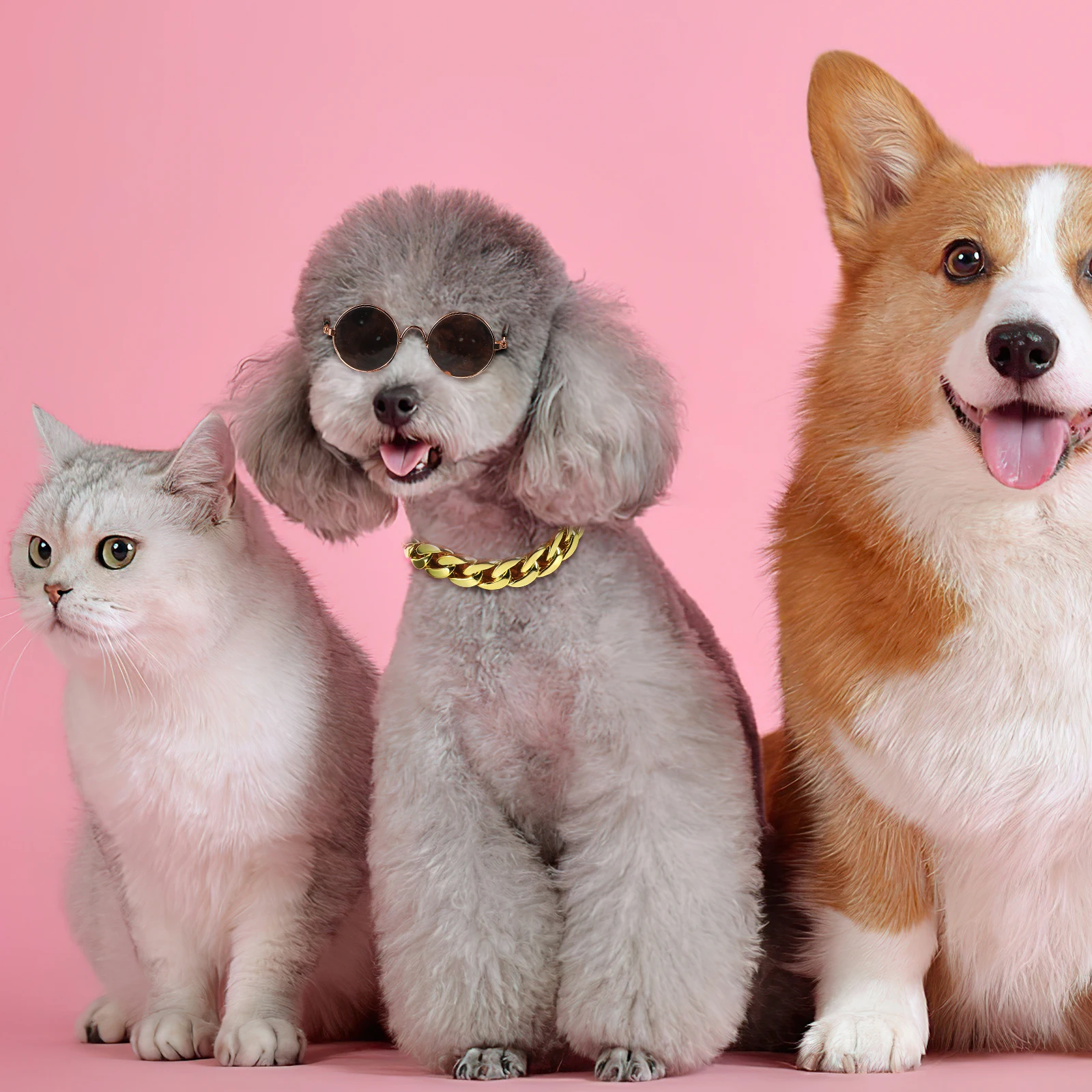

2pcs Pet Sunglasses Gold Necklace Durable Cool Chain Pendant Dog Cat Accessory Jewelry Photo Outfit Special Occasion Pet Lover