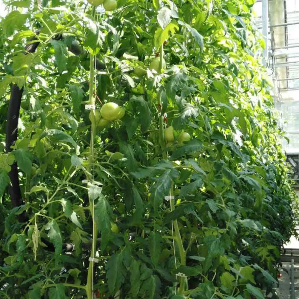

1Set Tomato Trellis Hooks Hanging Hooks Vine Plant Support Hook Heavy Duty Greenhouse Gardening Traction Rope Greenhouse Tools