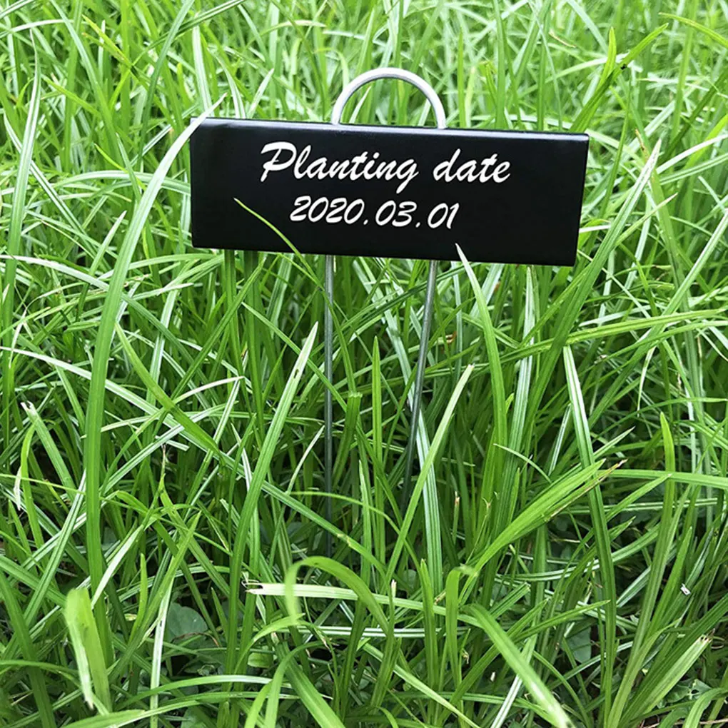 

12pack/lot T-Type Plant Label Markers Metal Iron Garden Plants Classification Sorting Sign Tags Plant Nursery Markers Label