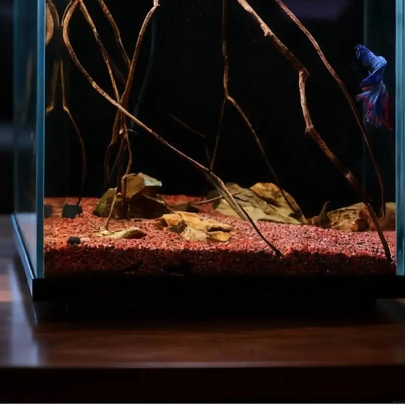 Ventilated Design Aquariums Fry Box for Safe Oxygen Supply and Fish Growth 