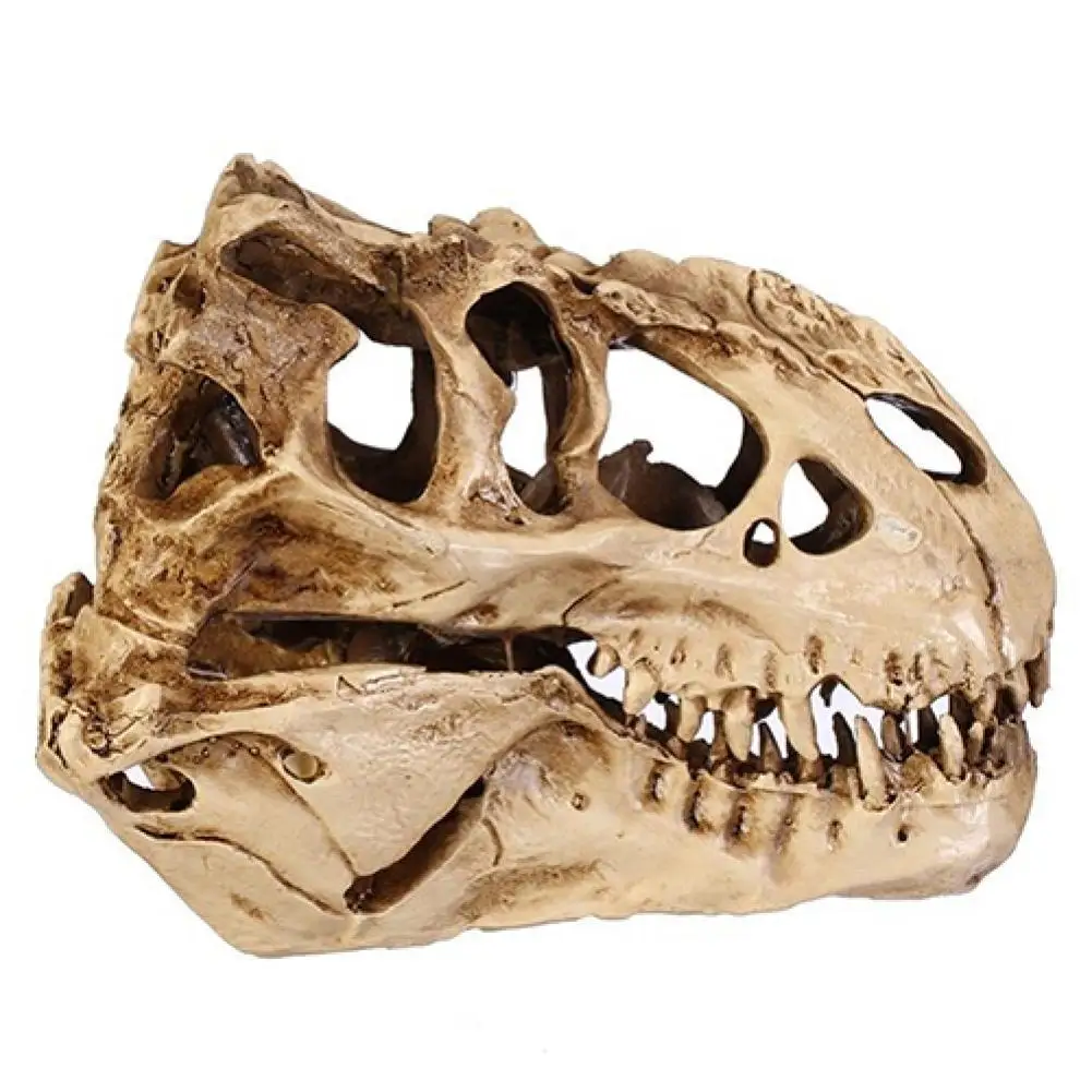 Fake Model Cool Resin Simulation Individuality Dinosaur Skull Model   Dinosaurs Skull Specimen  for Office