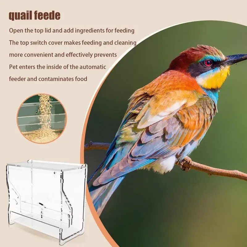 Chicken Feeder Automatic Bird Quail Water Feeding Cup Birds Water Feeders Dispenser Cage Accessories For Quails Chickens Parrots