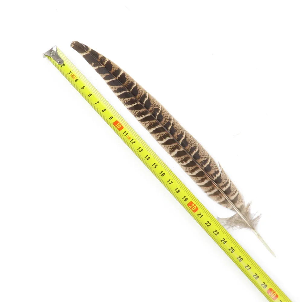 10 قطعة 25-30 سنتيمتر الدجاجة الطبيعية الدراج الذيل الريش جميلة جميلة أعمدة Diy بها بنفسك غطاء الرأس المهرجانات مجوهرات إبداعية الحرف اليدوية