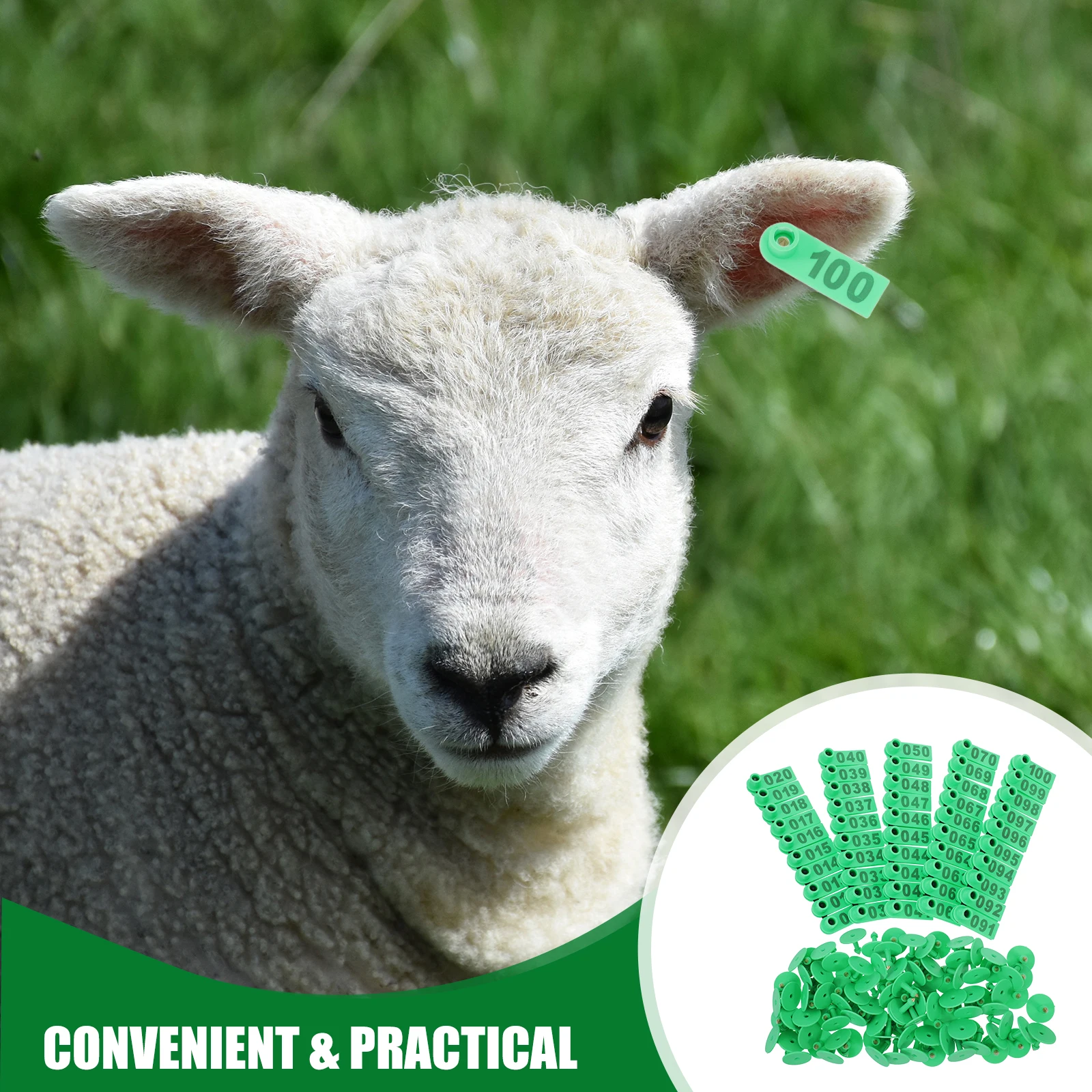 

100pcs For Livestock Custom Engraving Durable Plastic Cow Ear Tags Sheep Goat Identification Markers Cattle Tags Animal Ear