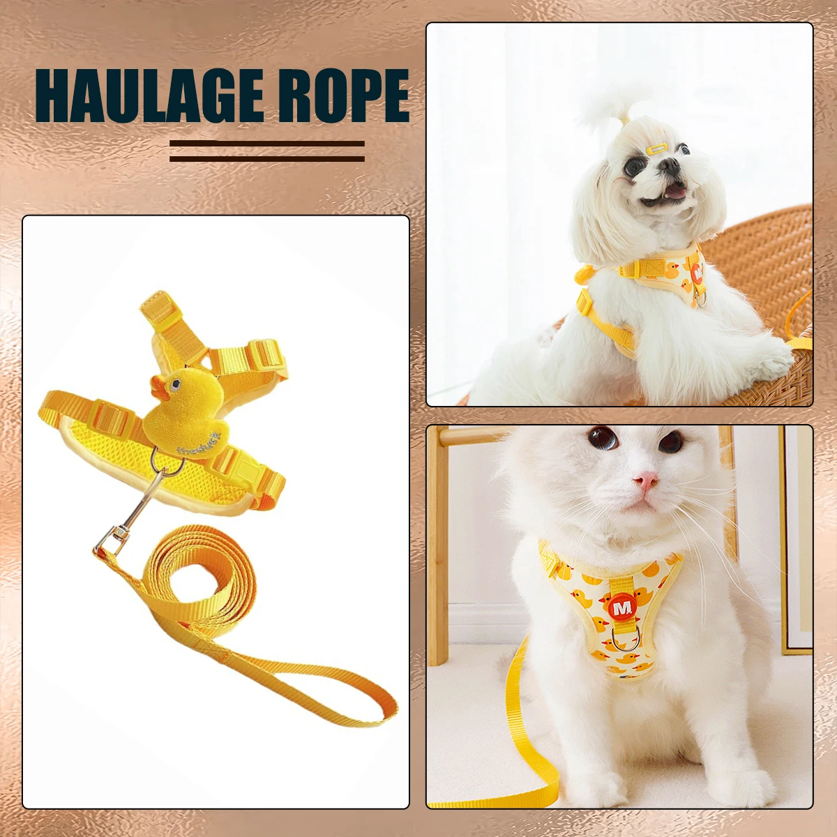 

Cat Harnesses and Leads Best Harnesses to Prevent Escapes Best for Cats and Small Dogs