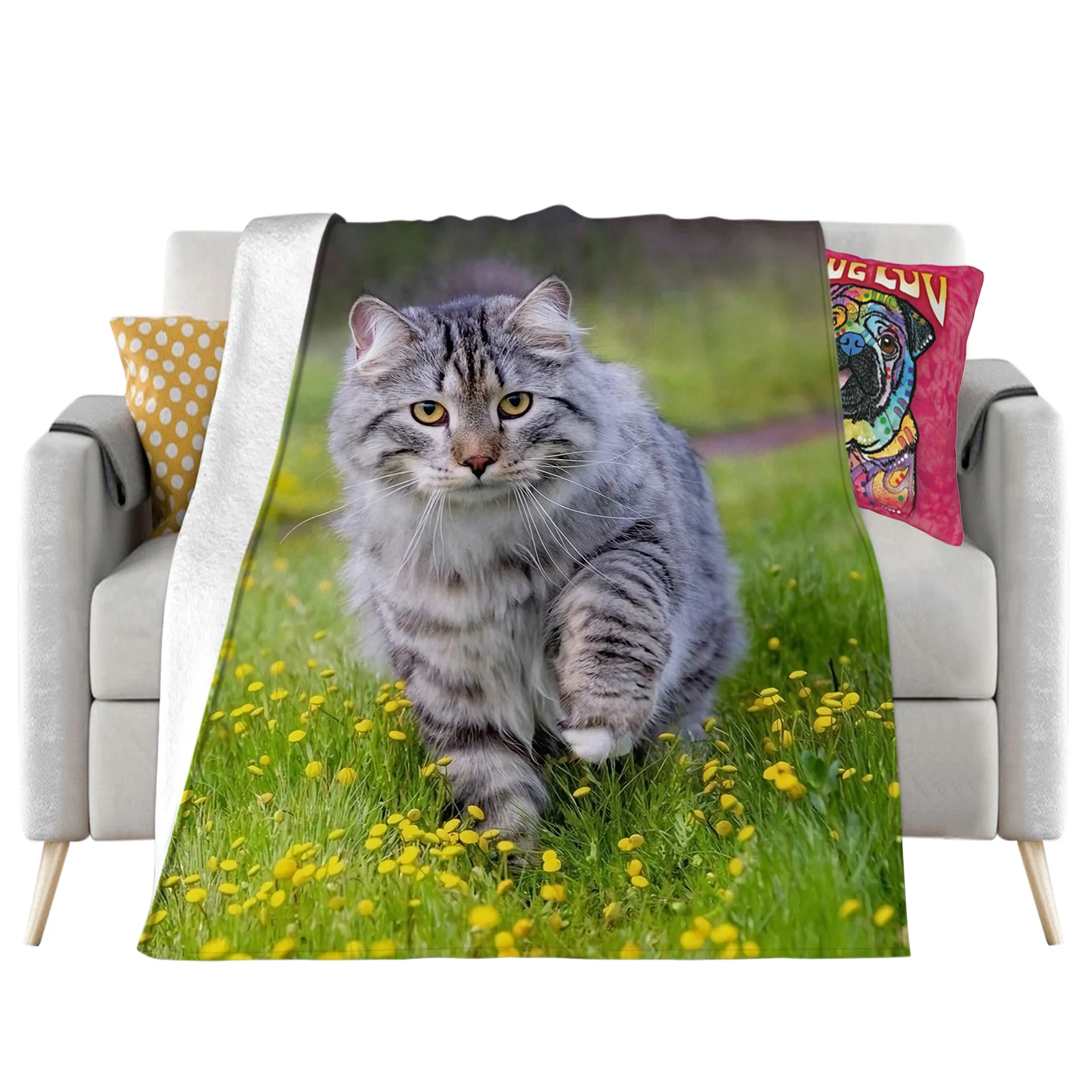 Animal Cat Flannel Blankets Cute Tabby Cats Little Floral 3D Printed Throw Blanket Office Nap Baby Comfort Quilts Dropshipping