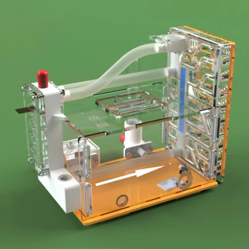 kit-fai-da-te-per-formicario-laboratorio-per-formiche-casetta-per-insetti-da-allevare-a-casa