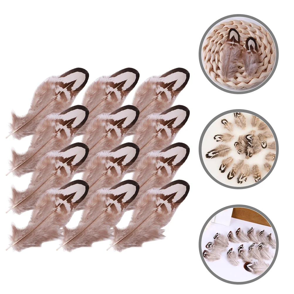 50Pcs Natural Plume Bulk Natural Plume Decorative Plumes Crafting Plumes Dream Catcher Accessories craft plumes