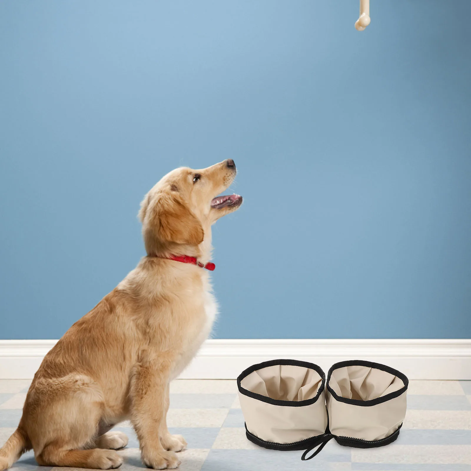 أكسفورد القماش سحاب عازل للماء للطي الكلب السلطانية المحمولة الحيوانات الأليفة السفر طبق سهلة التخزين خفيفة الوزن قابلة للطي وعاء الكلب