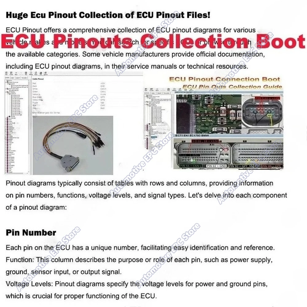 

Ecu Pinout Connection Boot Ecu PinOuts obd2 scan Software Collection Repair Files Beginner Guide To ECU Editable Wiring Diagram