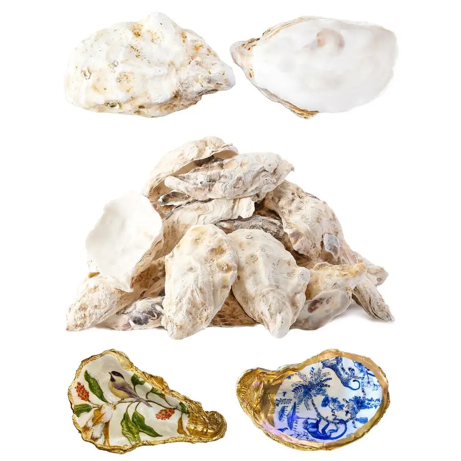 

Устричные ракушки для поделок 45 Большая устричная ракушка для поделокОристые ракушки для рождественской живописи Пляжные темы Свадьба, домашние ракушки