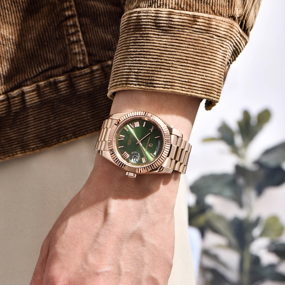 2025 جديد PAGANI DESIGN DD36 ساعات رجالية الذهب الوردي الفاخرة ساعة أوتوماتيكية للرجال ساعة اليد الميكانيكية AR الياقوت مقاوم للماء