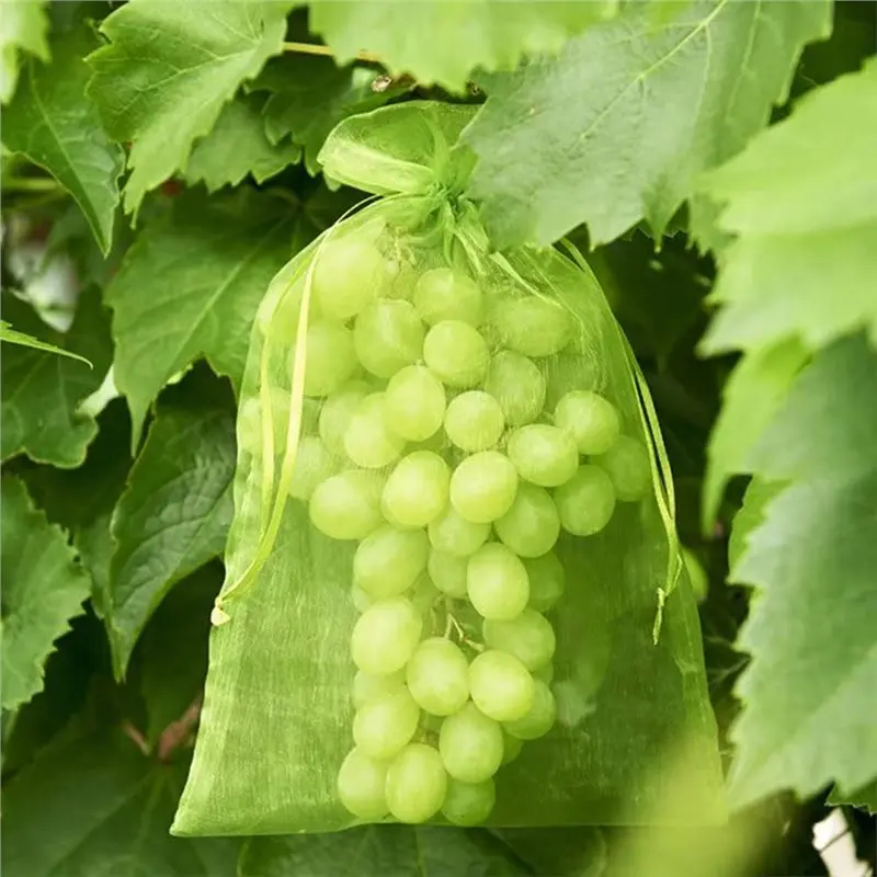 VEHO-50PCS Reusable Fruit Protect Net Bags Gardening Pest Barrier Cover For Trees Vegetables Insect Bird Control Mesh