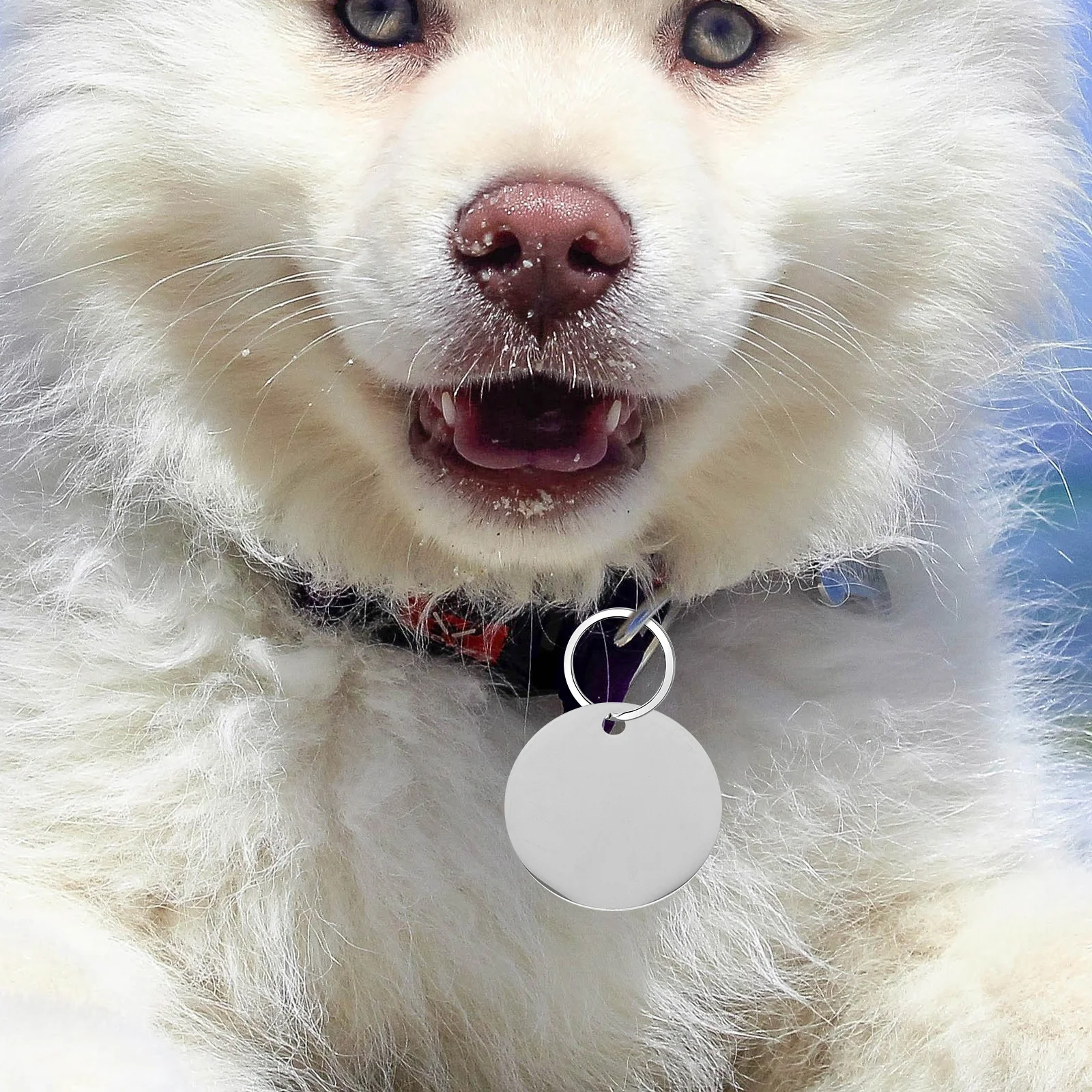 

10pcs Stainless Steel Dog Tags Blank Pet Id Tag Engraving Round 30MM Stamping Pendant Diy Craft Jewelry Smooth Surface