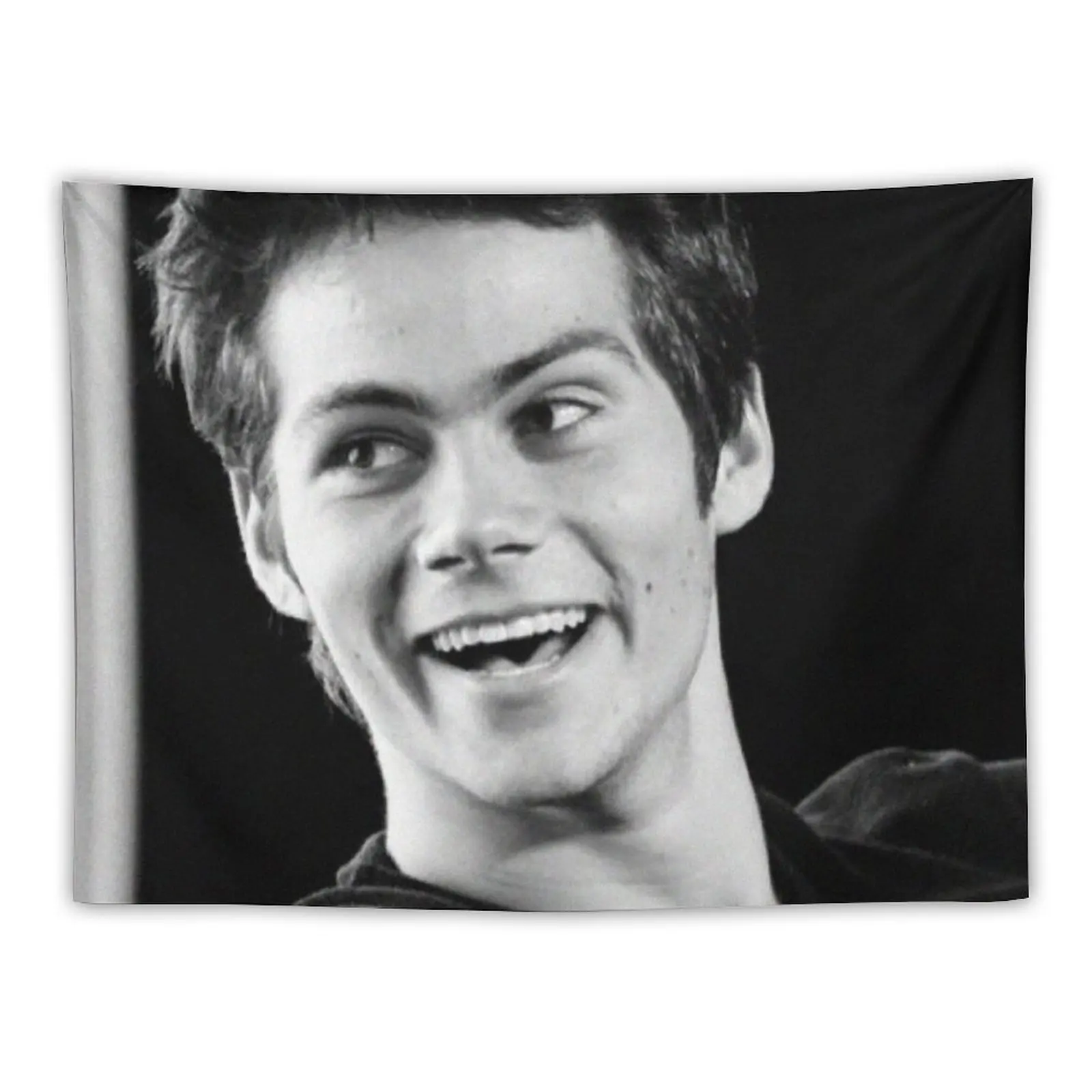 

dylan O'Brien Tapestry Living Room Decoration Bed Room Decoration Aesthetic Home Decor Tapestry