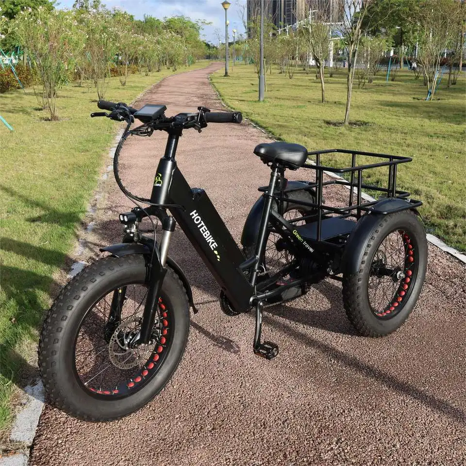 20 inch fat tire electric bike 3 wheels electric cargo bike 36V 48V 250W 350W 500W motor electric tricycle