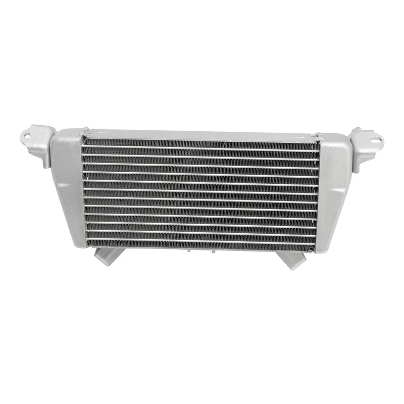 

Silver Oil Cooler Cooling Radiator For BMW S1000R 2021-2023 S1000RR 2019 S1000XR 2020 M1000RR 2022 2024