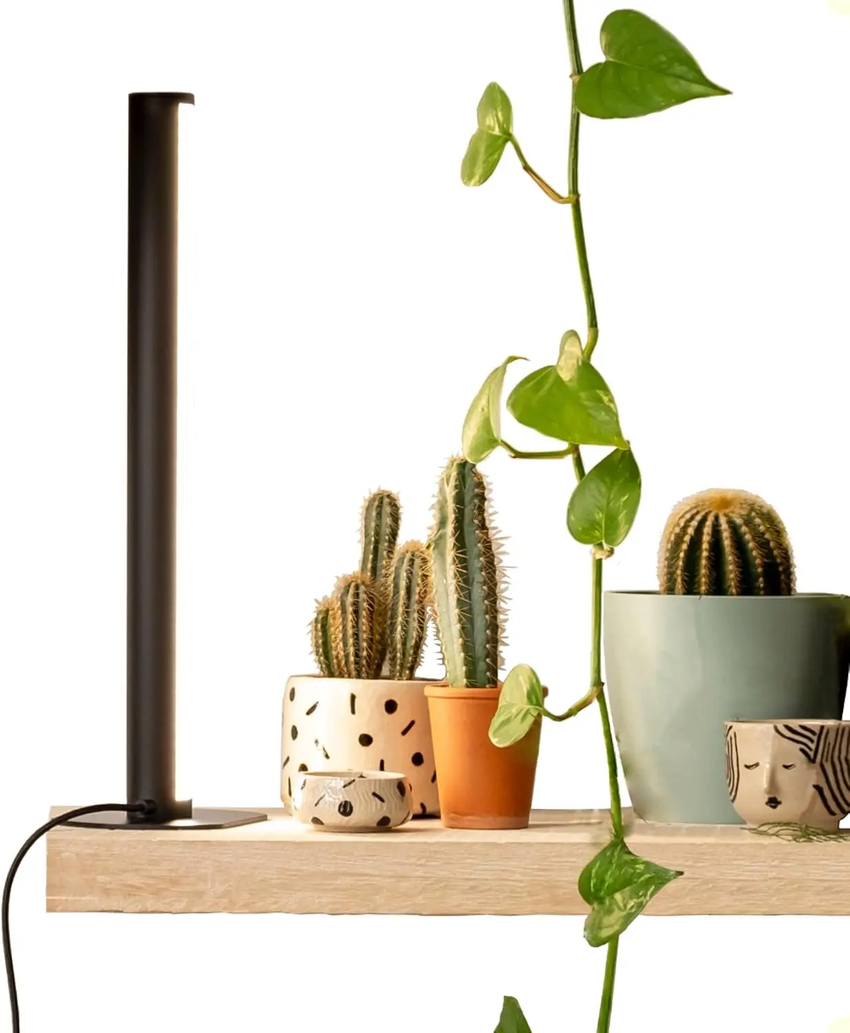 

Full Spectrum LED Grow Light 16W for Indoor Plants, Energy Efficient Plant Growing Lamp with Sunlight Mimicry