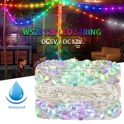 WS2812B taśma LED RGBIC sznurek drut miedziany WS2812 indywidualnie adresowalne wesele girlanda Deco lampki świąteczne DC5V/12V