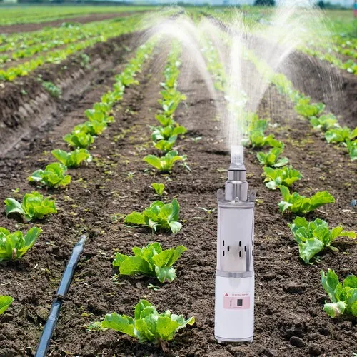 

12V DC Solar Water Pump with Pure Copper Motor Stainless Steel Shell High Flow 1.2m³/h 25m Lift Silent & Energy Efficient