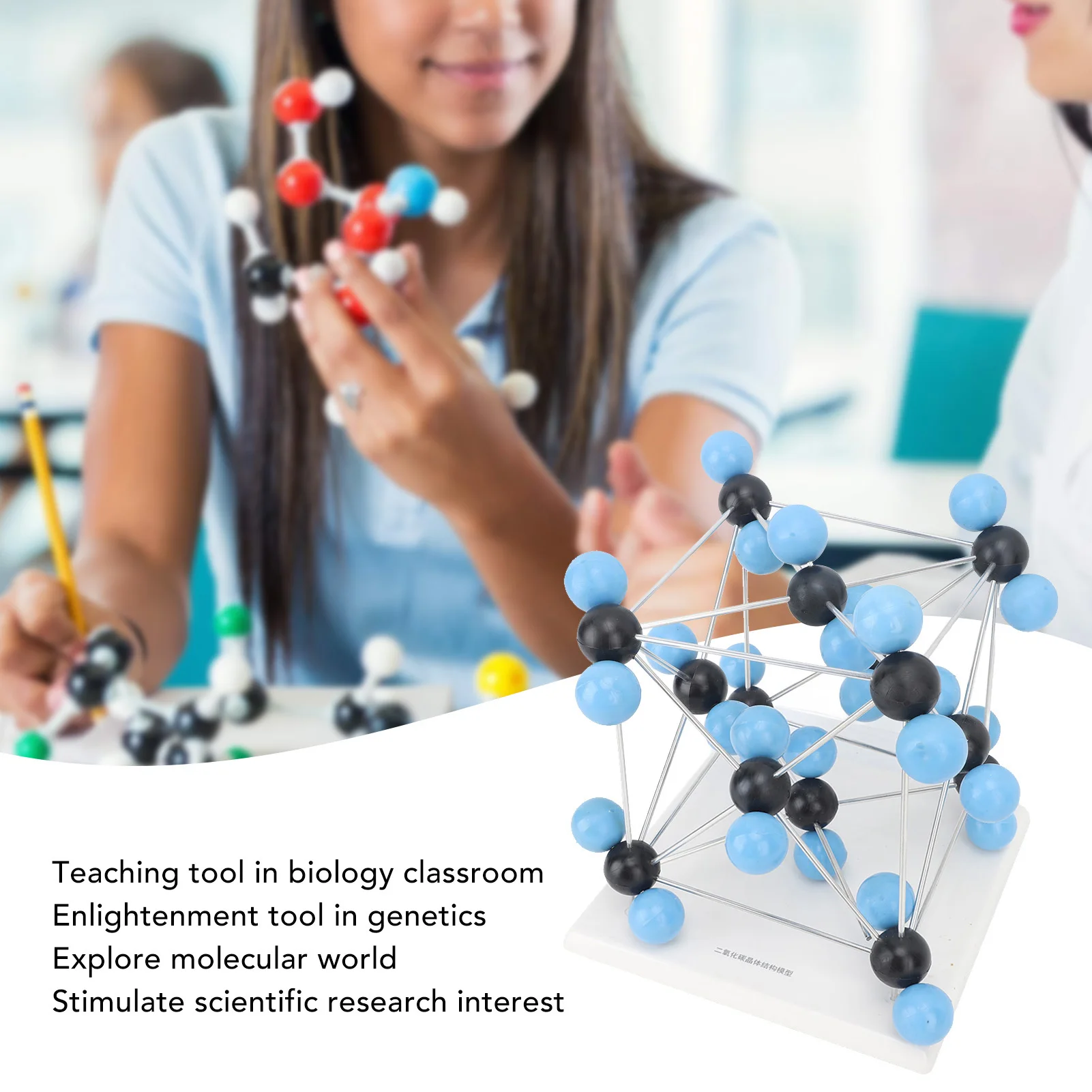 

Chemistry Molecular Model Kit Dioxide Carbon Atoms with Single Bonds Chemical Learning Teaching Tools Chemical Atoms Model Kit