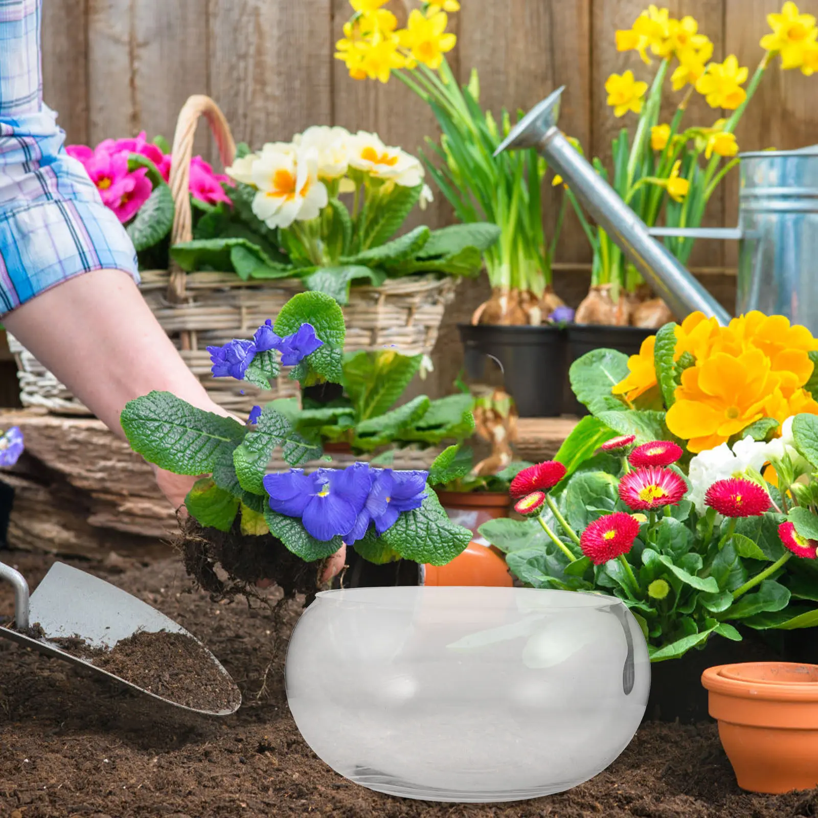 

Прозрачный стеклянный аквариум-кашпо для гидропоники, декоративный горшок для суккулентов, настольный террариум для растений