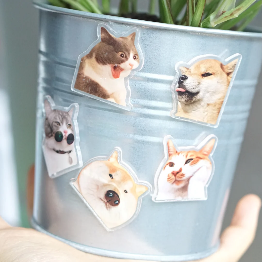 5 Pieces Cat and Dog Fridge Magnet Cute Pet Magnetic Stickers Suit for Refrigerator Home and Kitchen Decorations Creative Gift