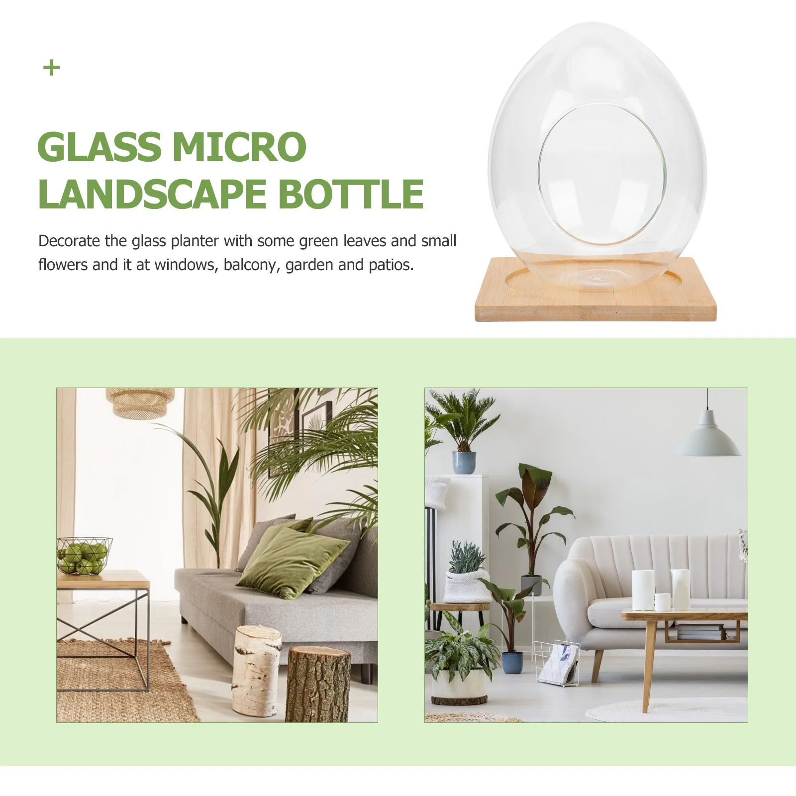 

1 Set Egg-Shaped Ecological Bottle Desktop Ornament Glass Micro Landscape Terrarium Diy Succulent Plant Container For Indoor