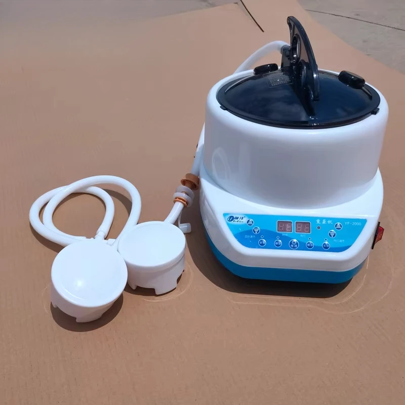 Steam engine high power fumigator double outlet steam generator drug fumigation equipment cooking drug fumigation room