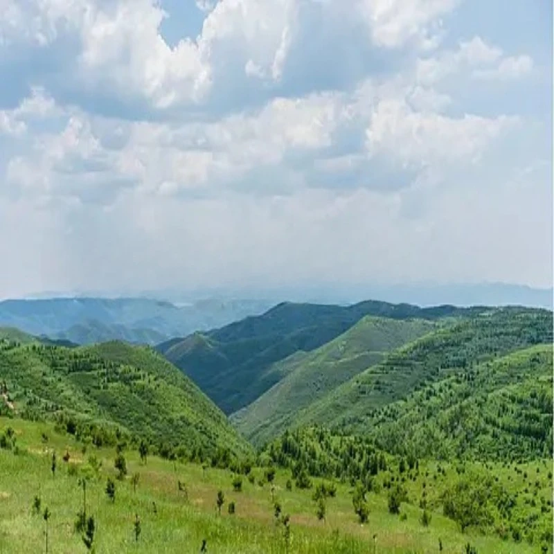 HGLRC SPECTER F722 Mini Kontroler Lotu MPU6000 OSD BARO 16MB DUAL BEC 20X20mm 2-6S do Dronów FPV Freestyle