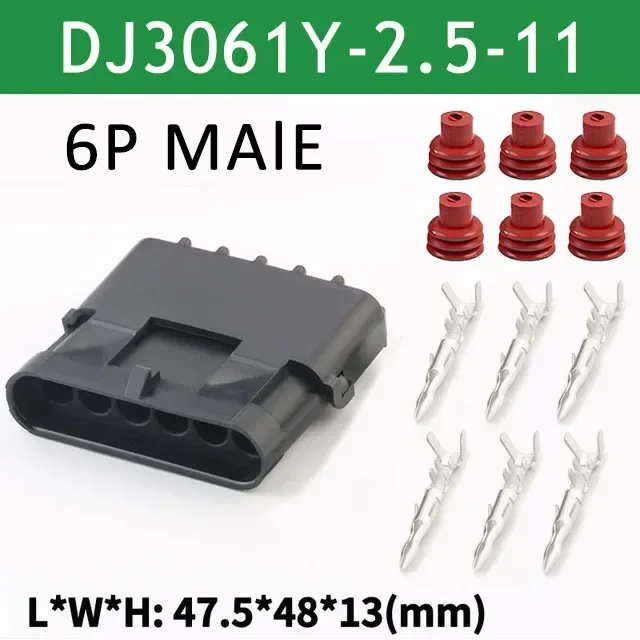 6P Male