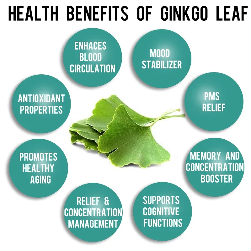 Soomiig Ginkgo Leaf Capsules - Brain Booster, Improve Memory, Concentration, Promote Blood Circulation in The Brain, Anti-aging