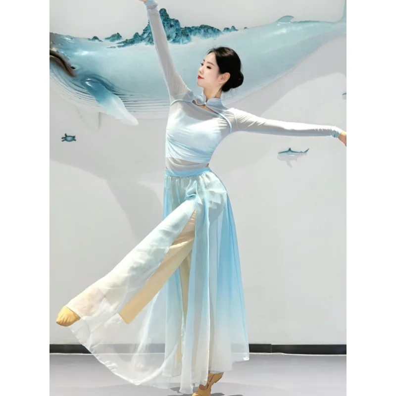 Classical Dance Stand Collar Stretch Gauze Blue Dance Practice Costume Ethnic Pants Skirt Flowing Women's Performance Costume