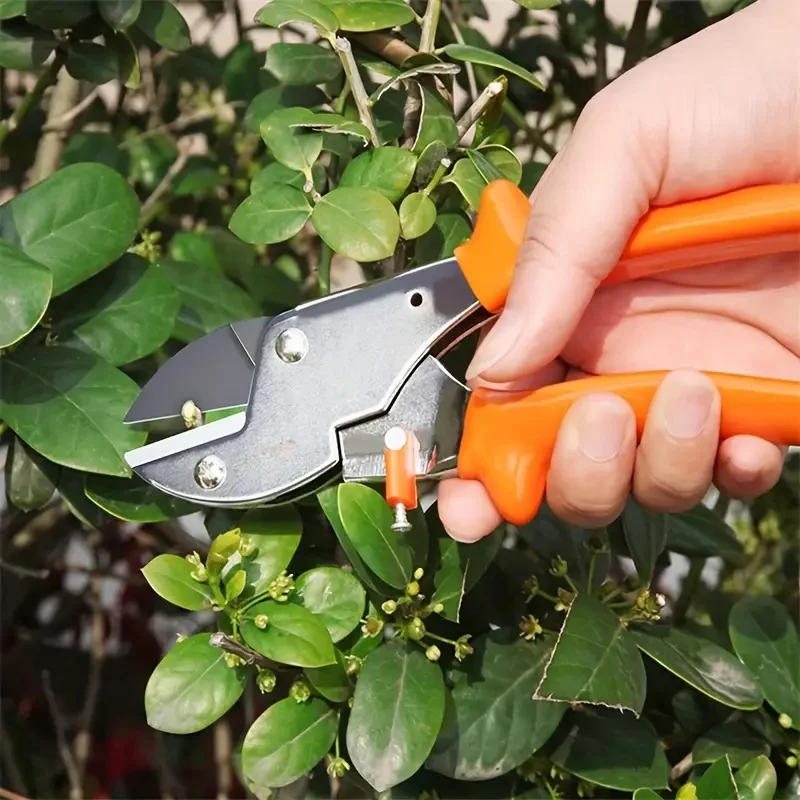 Imagem -03 - Tesouras de Poda de Aço Jardim Podador Tesoura Árvores Frutíferas Jardinagem Poderosa Secateurs Ferramentas Manuais Acessórios do Jardim 1pc Sk5