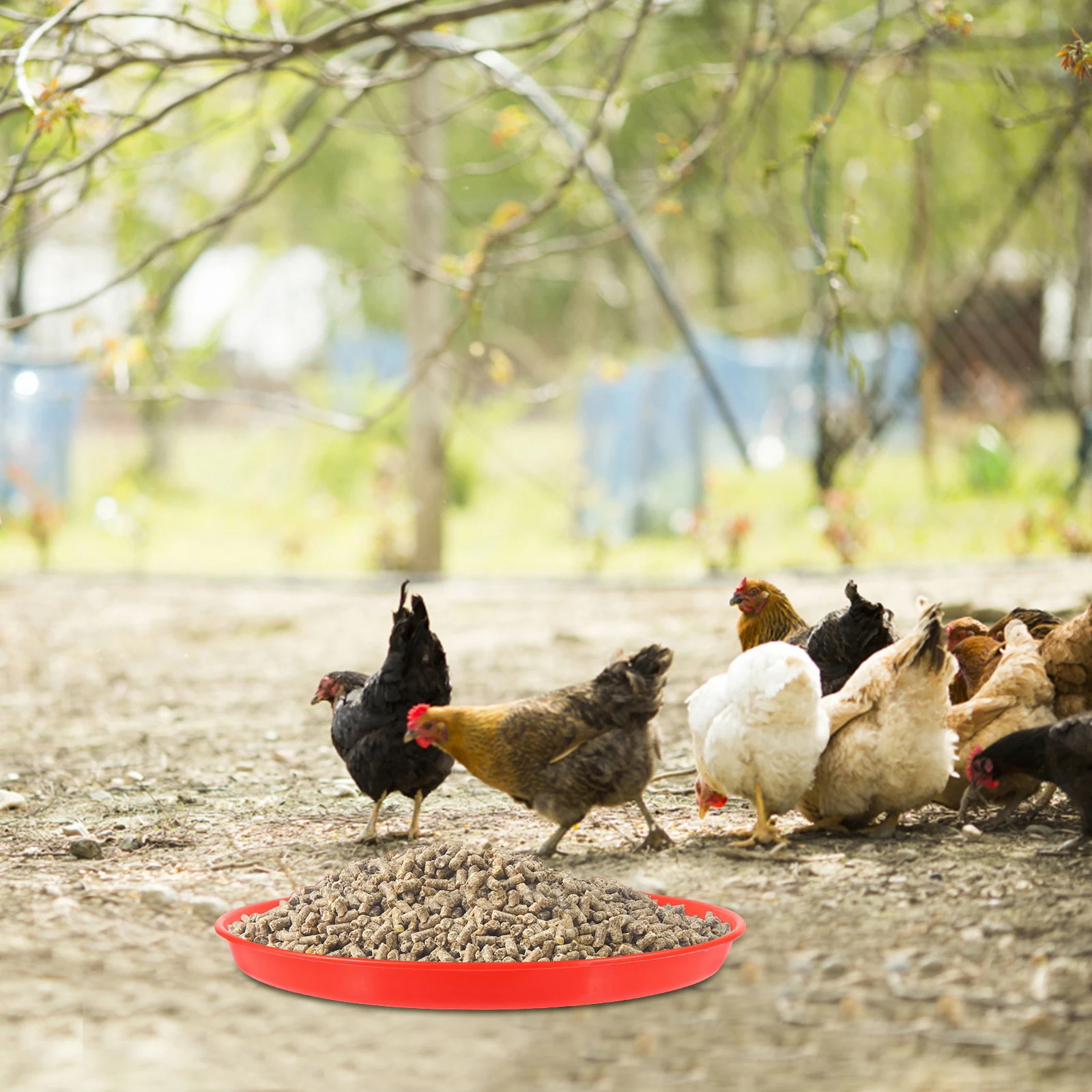 

2 pcs Chicken Feeder Tray Durable Plastic Poultry Feeding Plate Anti-Slip For Chick Duck Goose Fodder Container Farm Use