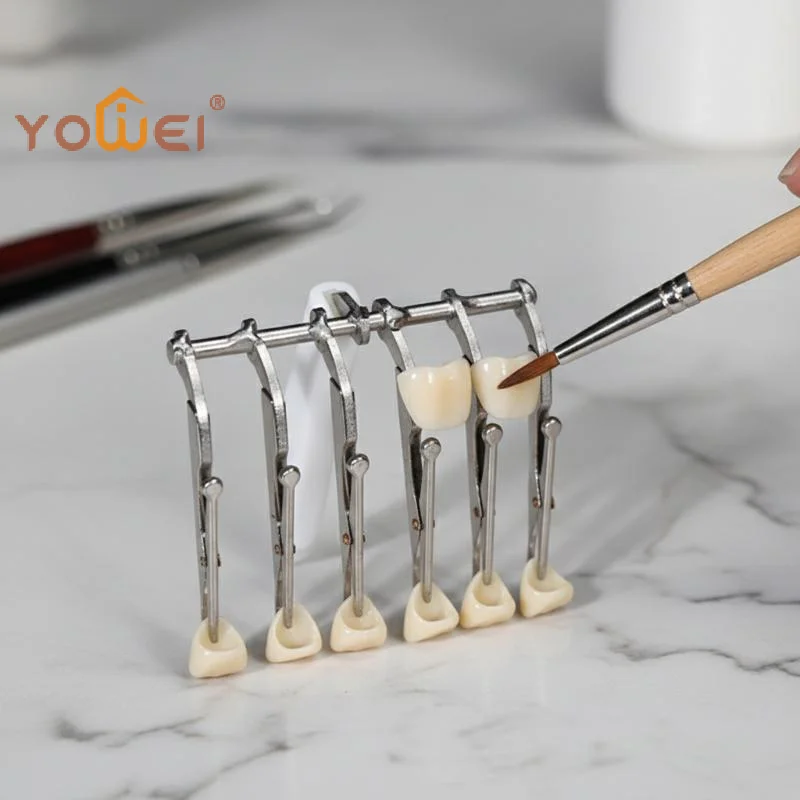 

Latest Dental Ceramist Hex Clamps Six-tooth Clips For Glazing Porcelain Auxiliary Tool Dental Technician Laboratory