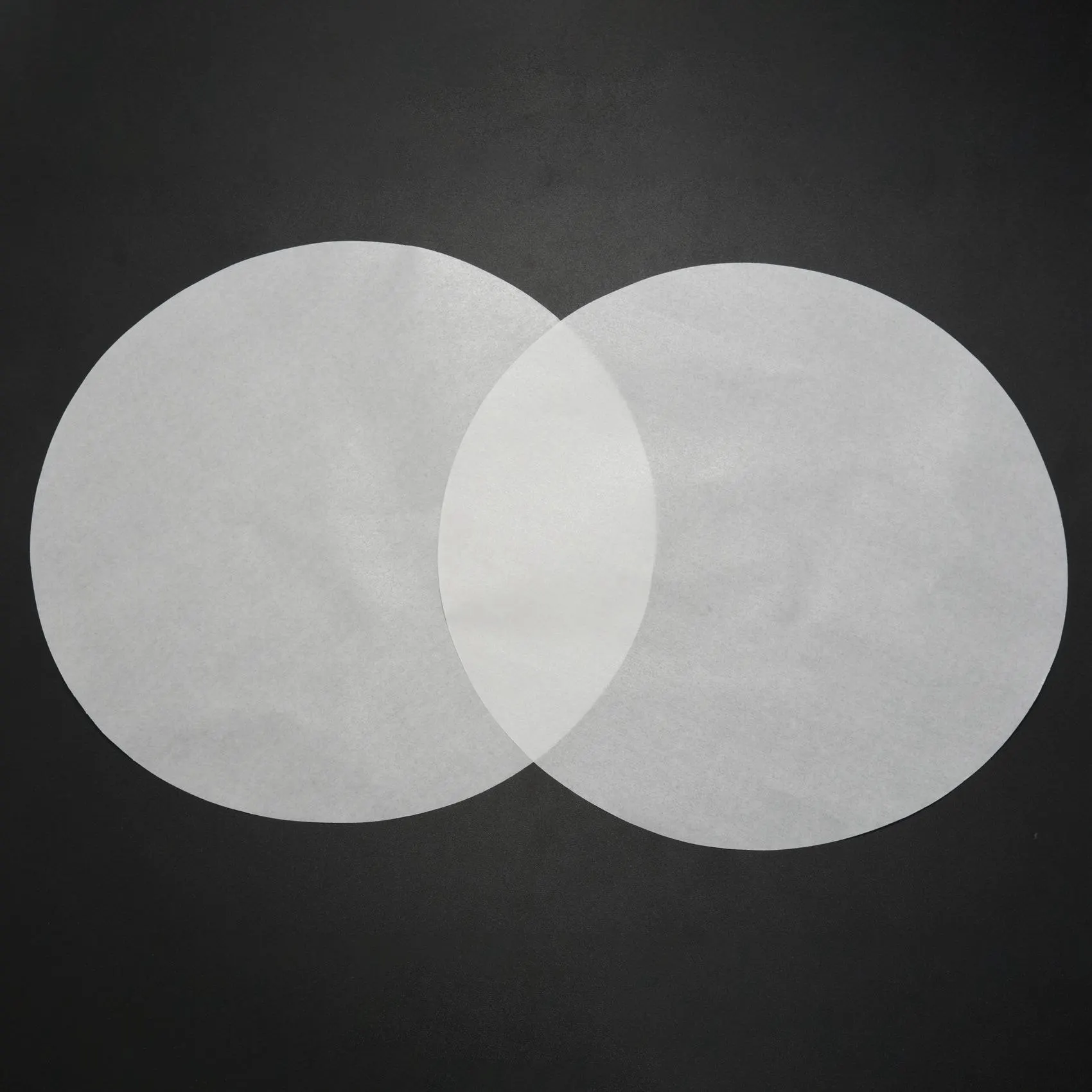 RABIT AS59~ 200 Pcs Round 8 Inch Baking Silicone Paper Rounds Non Stick Baking Circles Sheets Greaseproof Baking Sheets