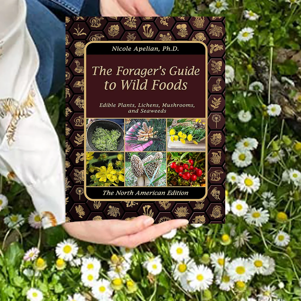 The Foragers Guide To Wild Foods English Paperback Book Color Inner Pages A Foragers Guide To Guide to Edible Wild Plants Gifts