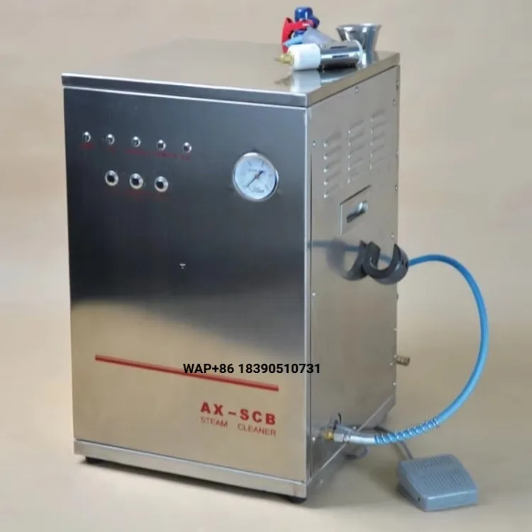 Lab High Pressure Electric Steam Cleaner