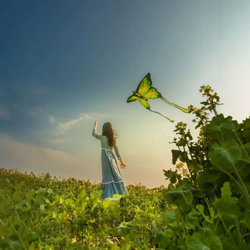 Nuove aquiloni a farfalla che volano per bambini aquiloni fabbrica sport da spiaggia gioca uccello Aquilone linea koinobori Aquilone surf fluo aquiloni nylon