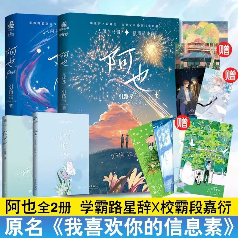 

Chinese BL Fiction Book 2 Books/Set Aye Novel Volume 1+2 Campus Youth Literature Duan Jiayan, Lu Xingci Boys Love Free Gift