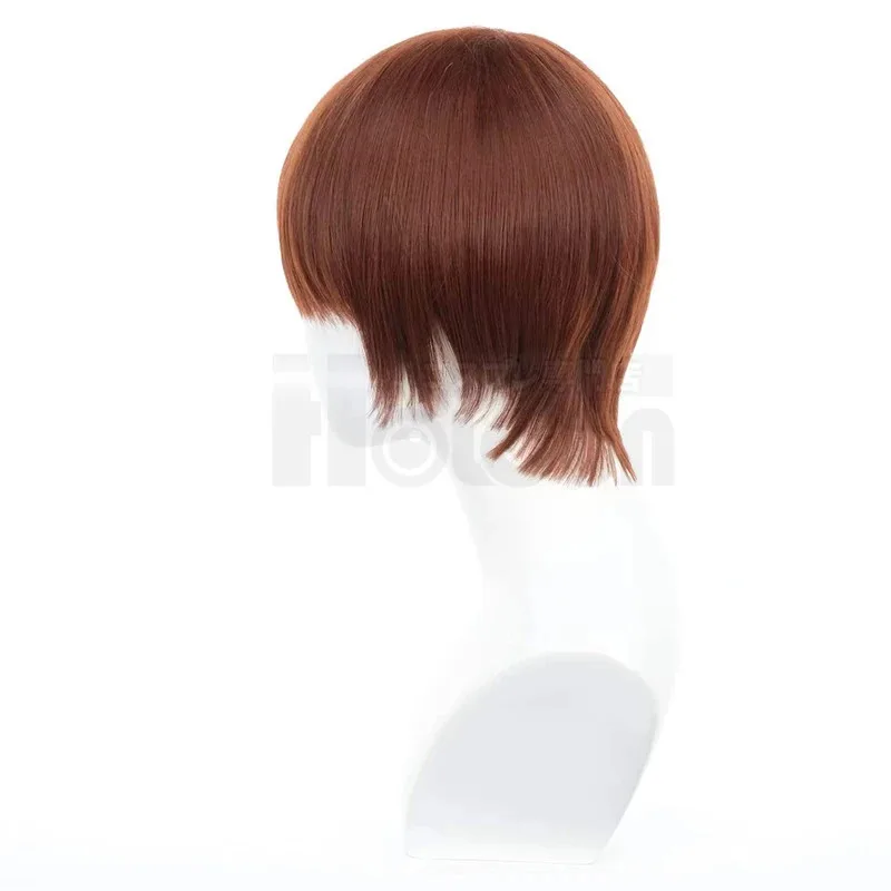 HOLOUN Delicious Dungeons Meshi Anime Chilchuck Tims Cosplay Perücke Rose Net Synthetische Faser Einstellbar Hitzebeständig Halloween