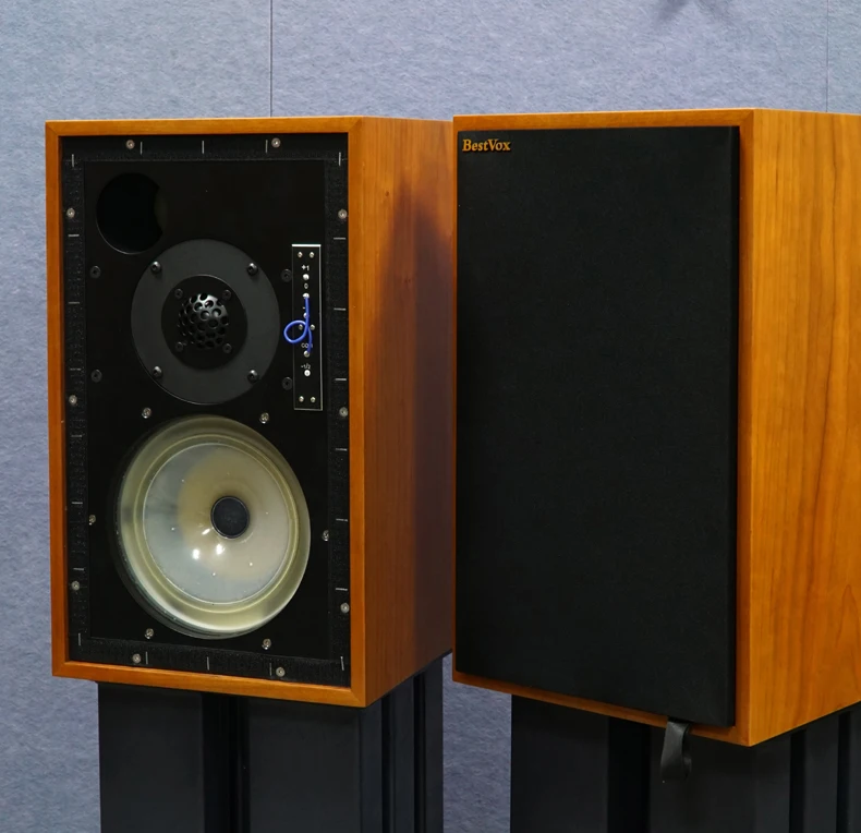 BestVox Bookshelf Speaker, Woofer Birch Plywood Box, LS5, 9, BBC, febre clássica, HiFi Monitor, LS59, polipropileno, 8"